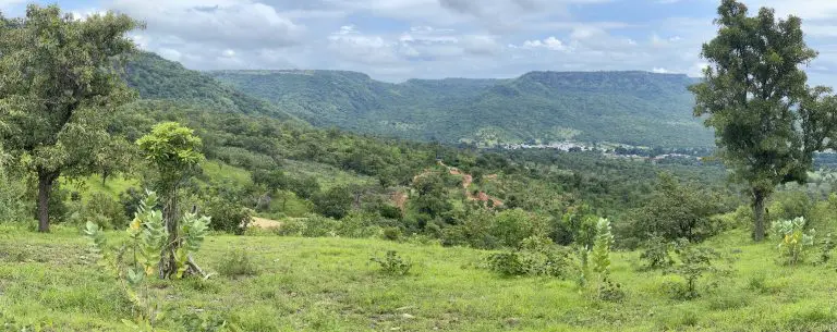 Greenfield Exploration, Guinea