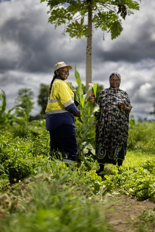 Sustainability Reports